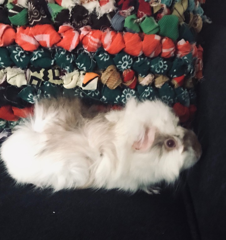 CHARLIE