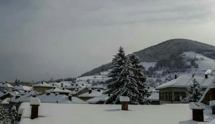 winter