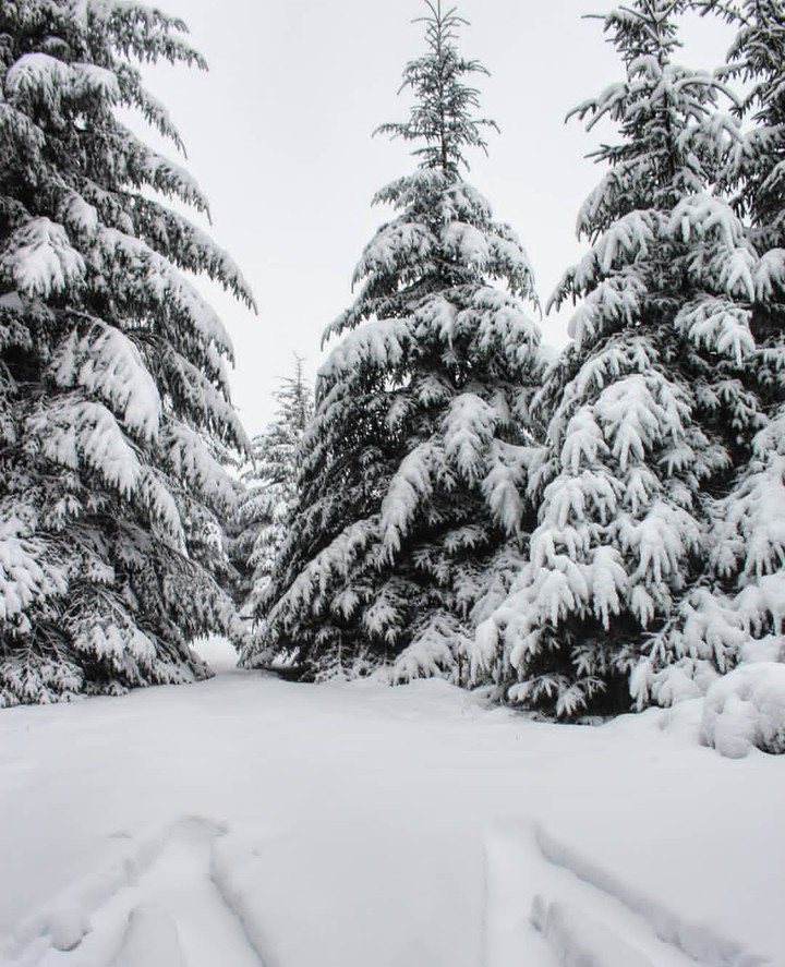 Winter is the best