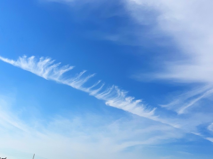 Feather sky
