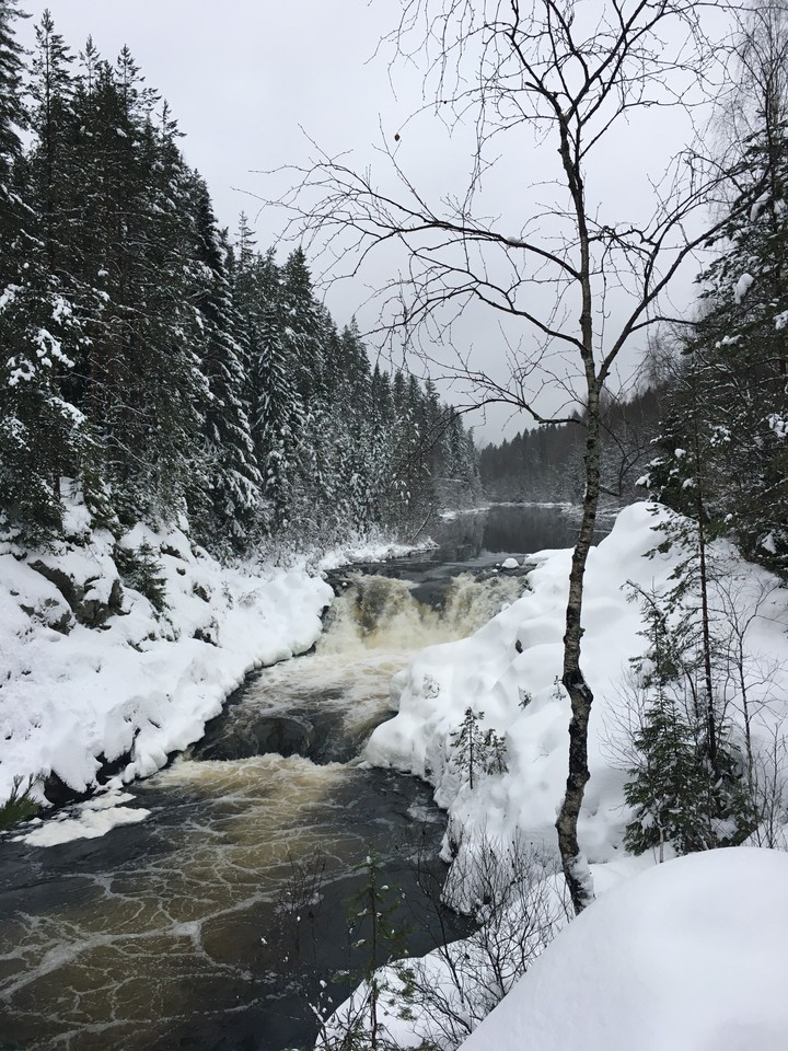 winter