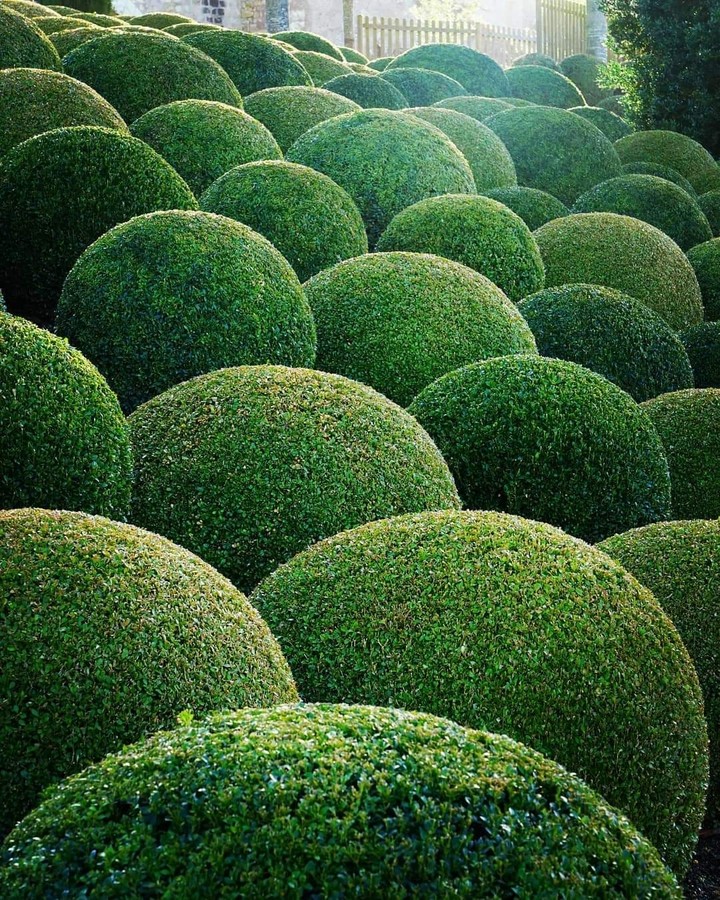 The garden of the Ambois, where Da Vinci spent last years