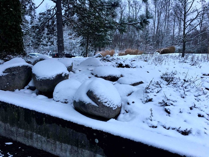 winter