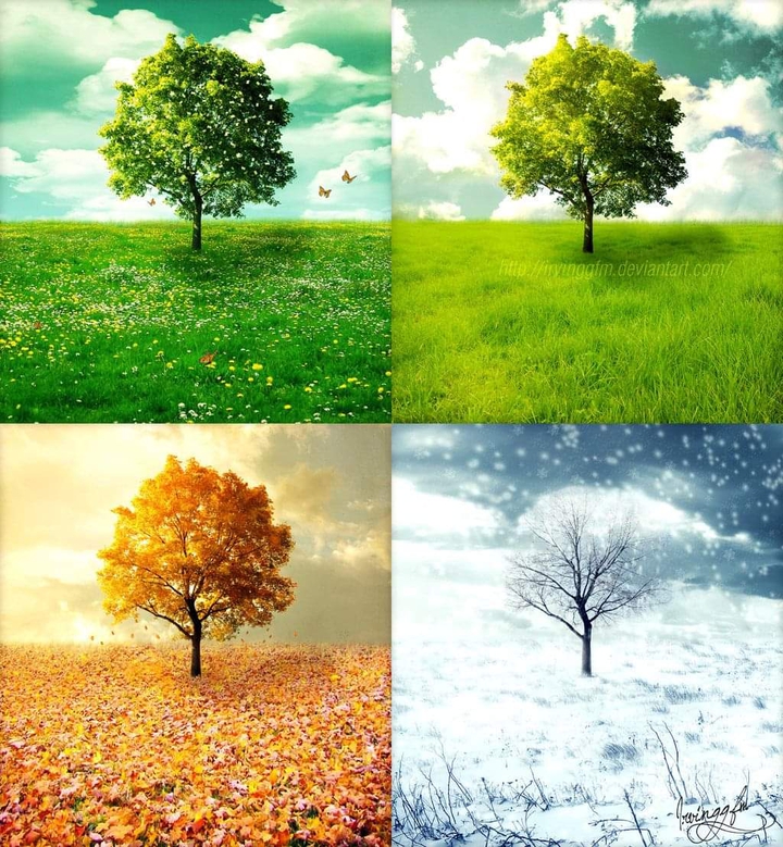 four seasons