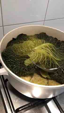 Cabbage rolls