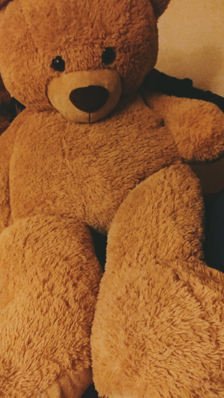 teddy