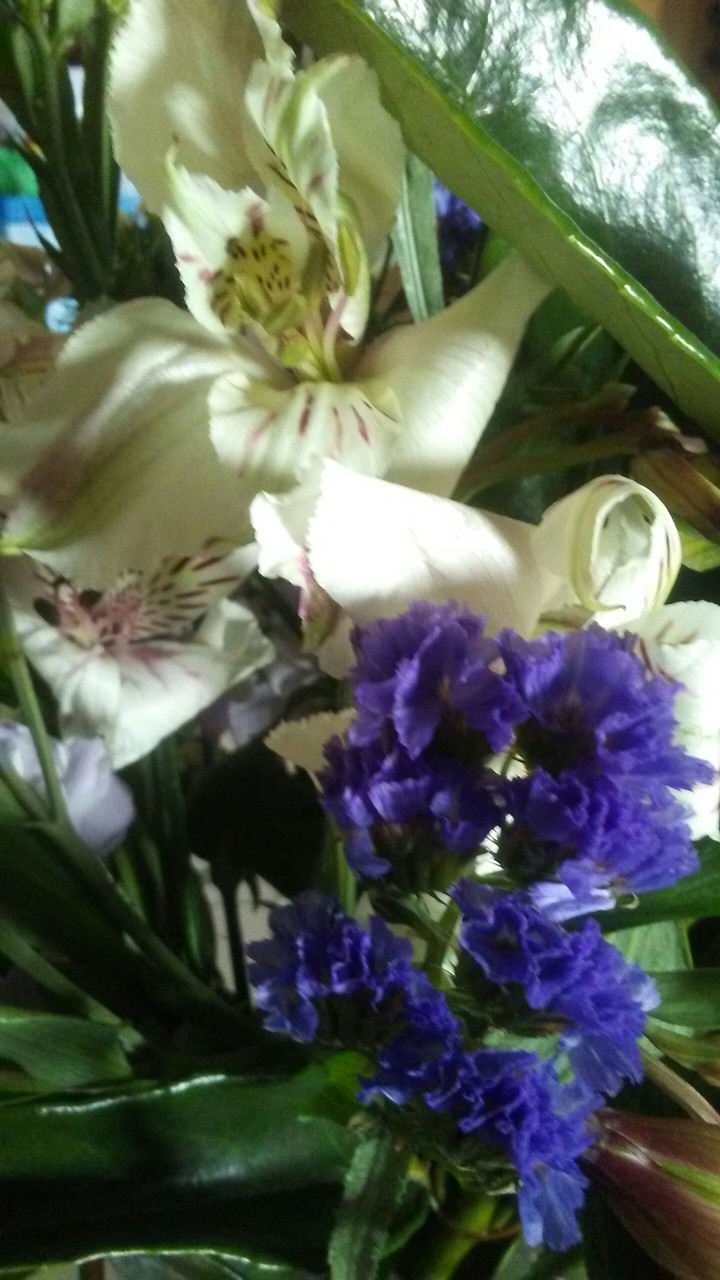new week new flowers