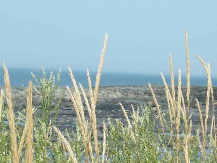 fleuve Saint-Laurent