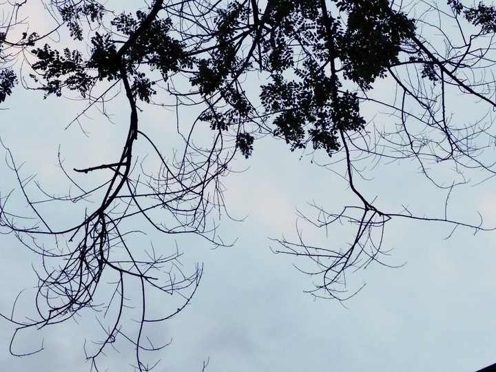 #randomclick