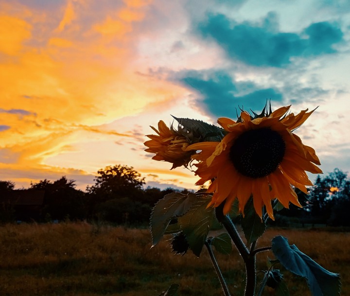 free sky of Ukraine