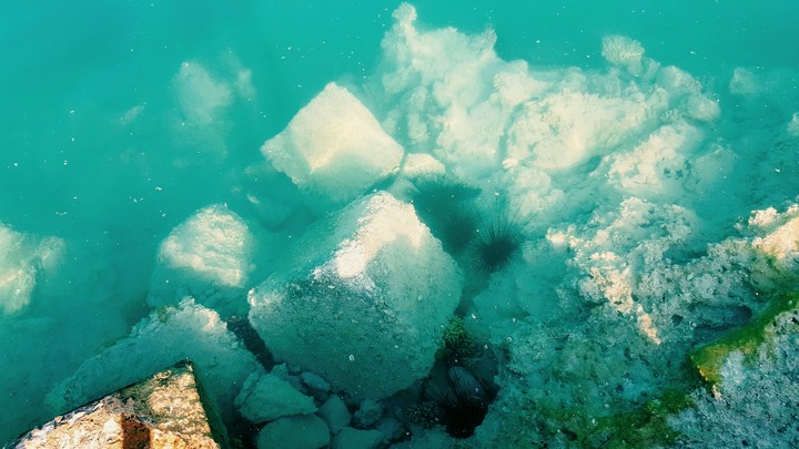 underwater scenery