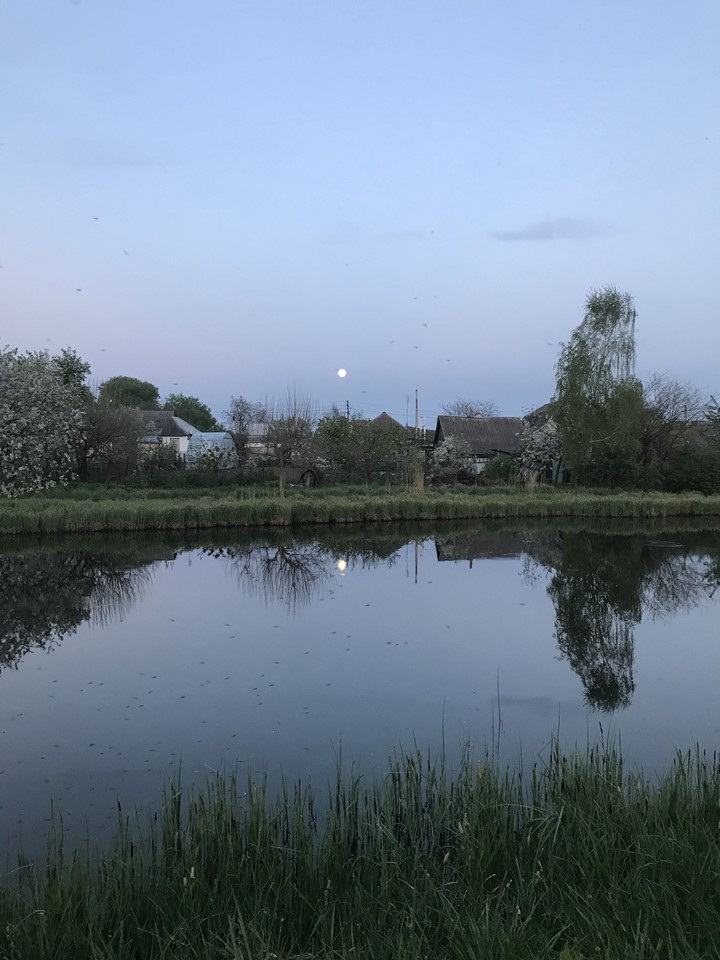 Evening..