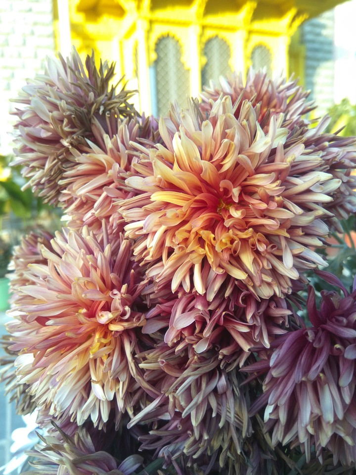 nature