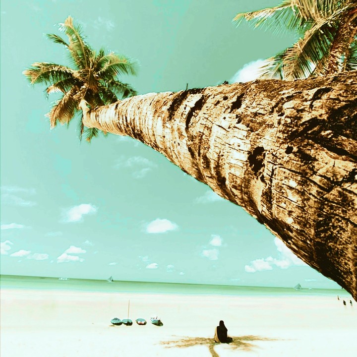 ?Maldives