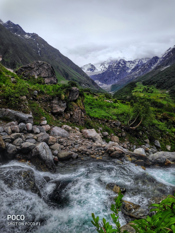 Valley of flowers (uttarakhand)