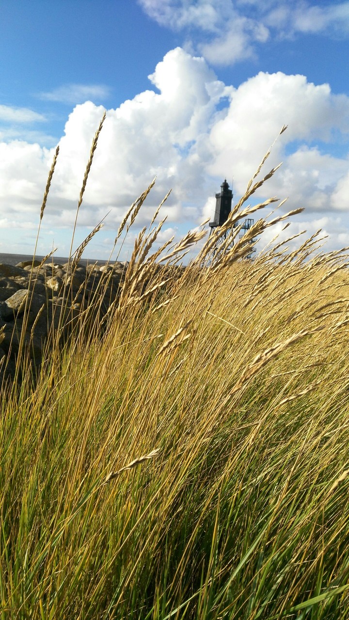 northsea