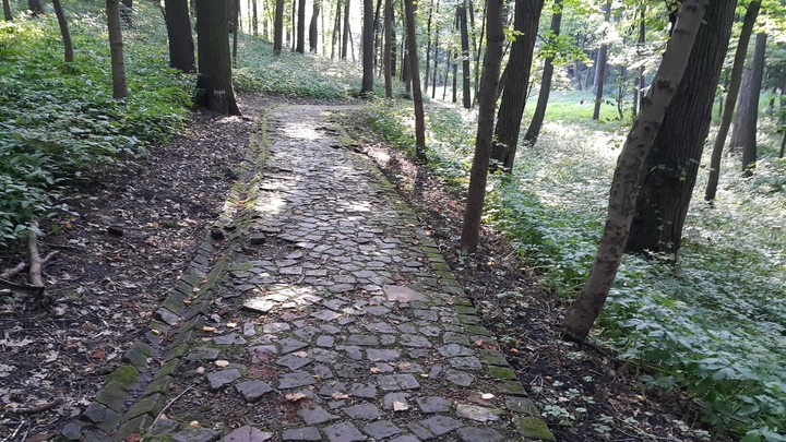 Царицыно. Старая лорога