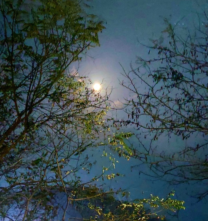 산책길에서