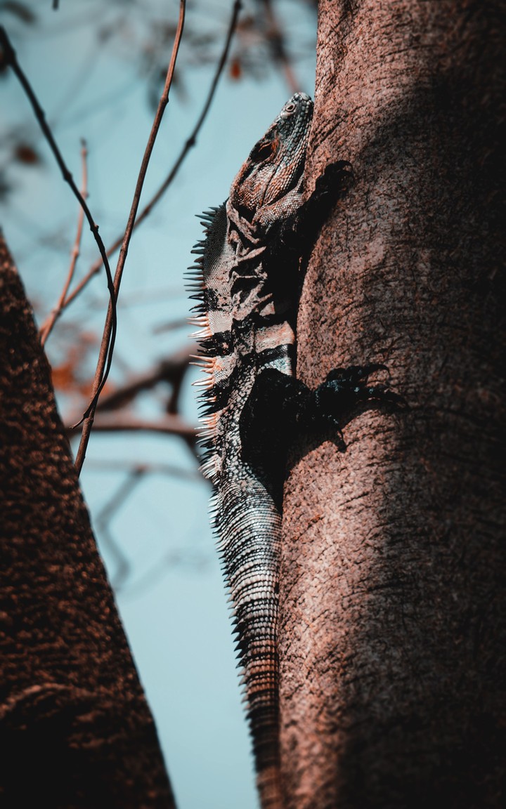 SEARCHING