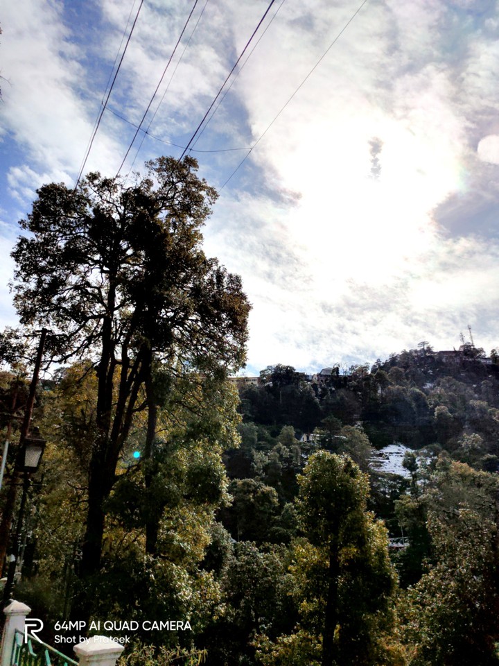 nature