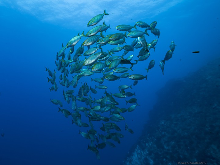 underwater