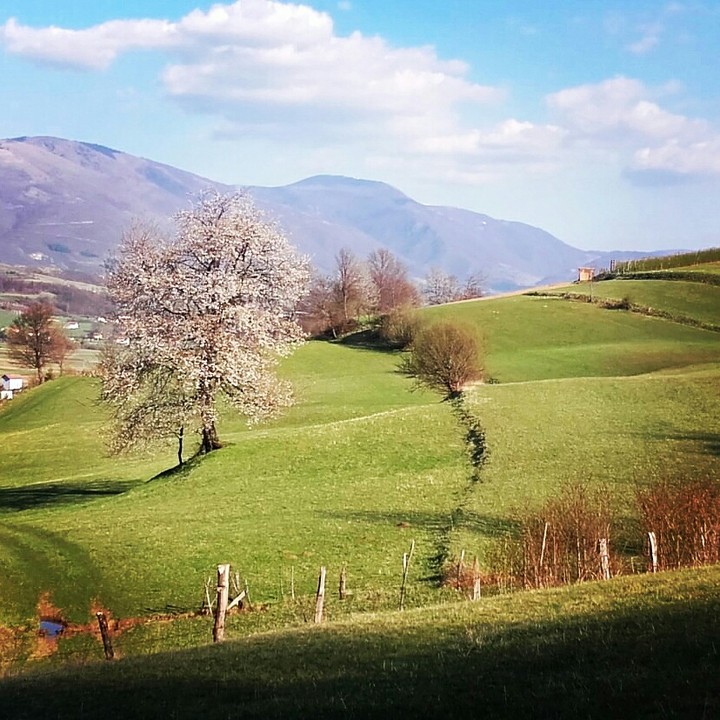 Spring