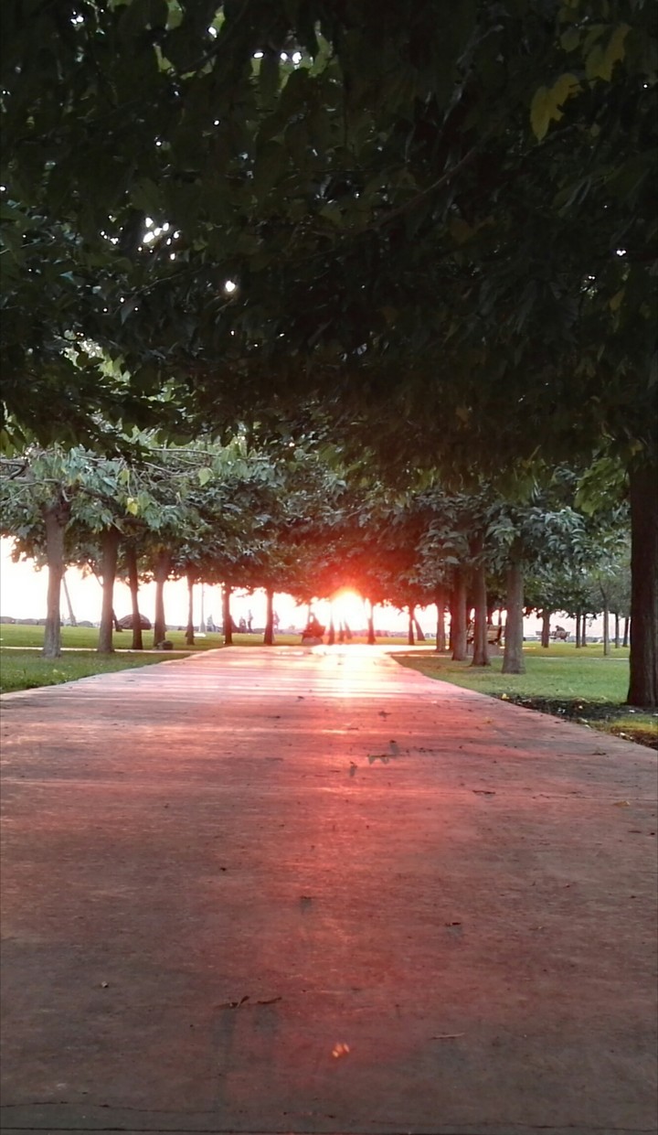 sunshine in the park ♥_♥