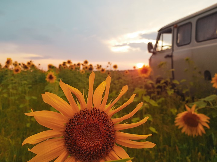 UAZ