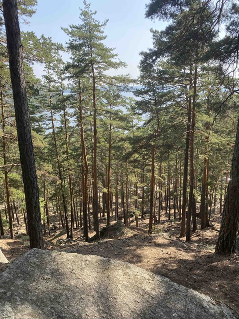 larch, 木制品桌布
