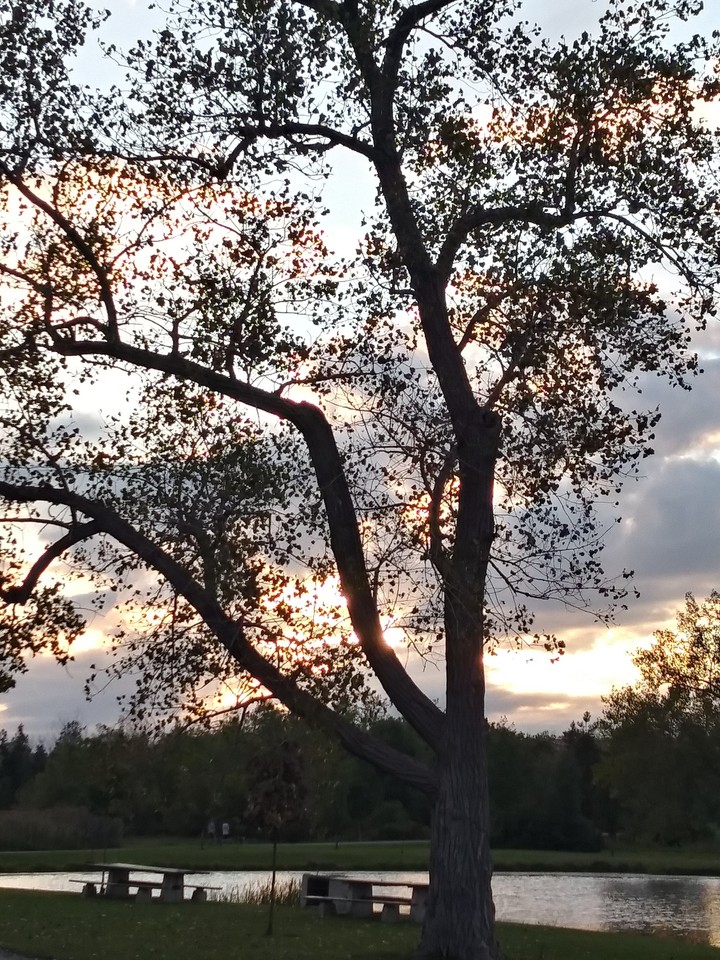 sunset @ the park
