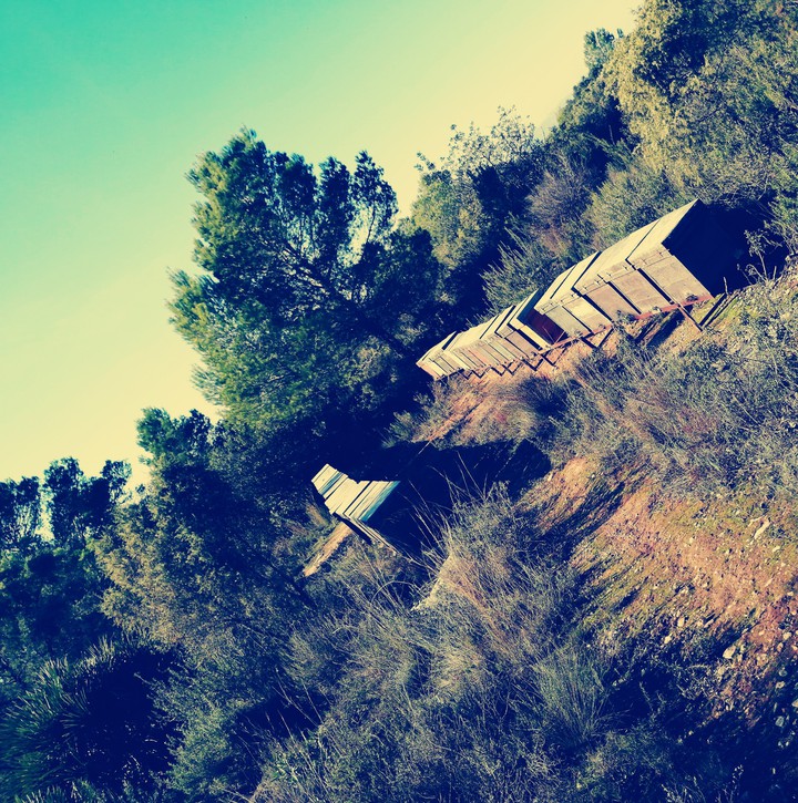 Beehives