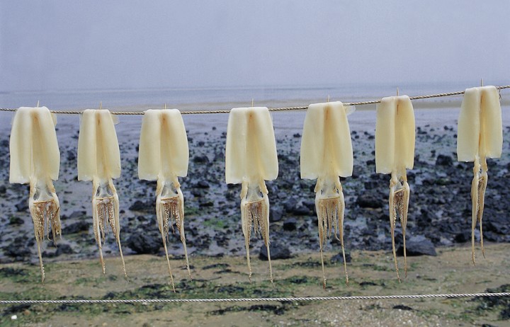 한국전통이미지