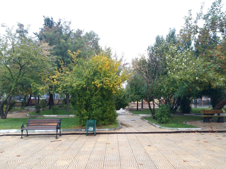 autumn \ sonbahar