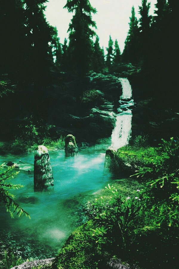 oasis of life