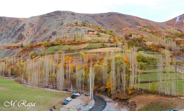 Afg