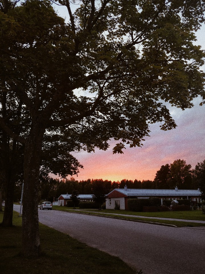 sunset