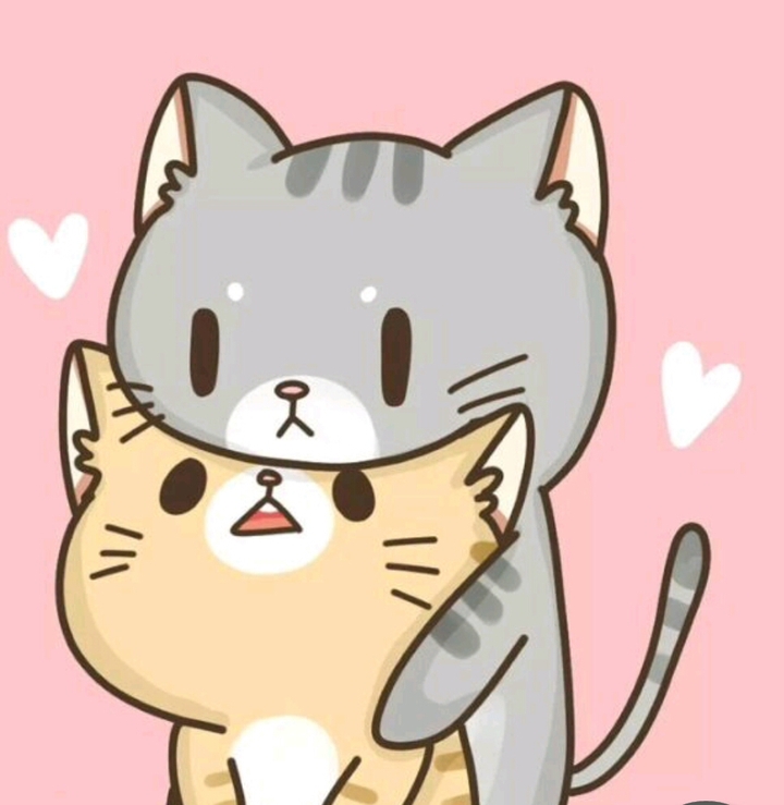 hi