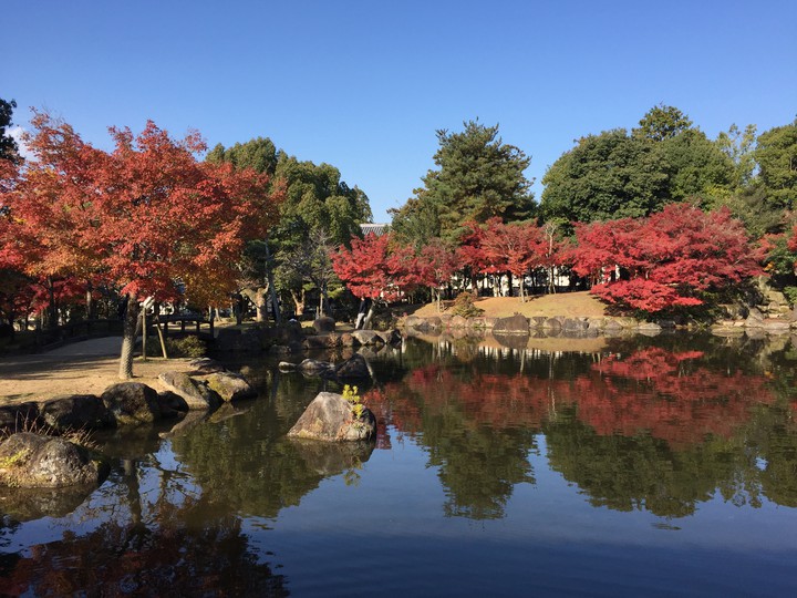 Kyoto Autumn