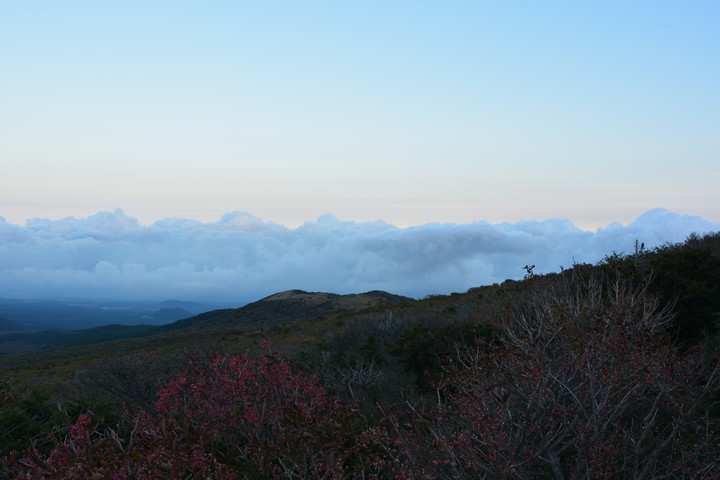 한라산이미지