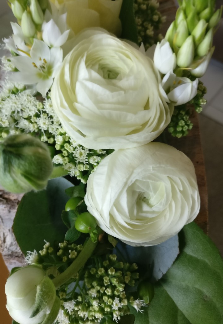 flowers