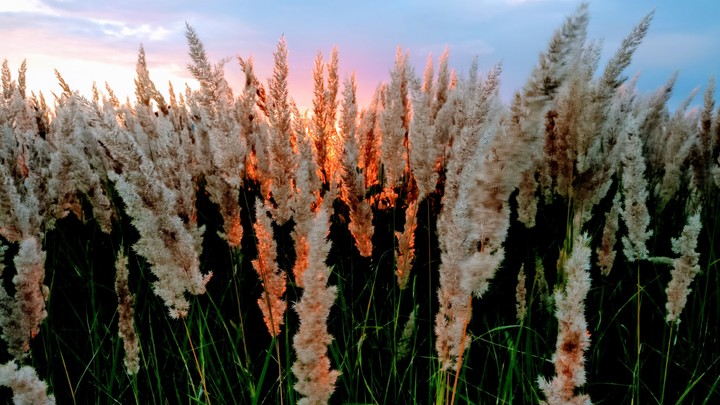July Sunset