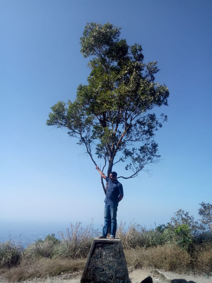 Nelliyampathy