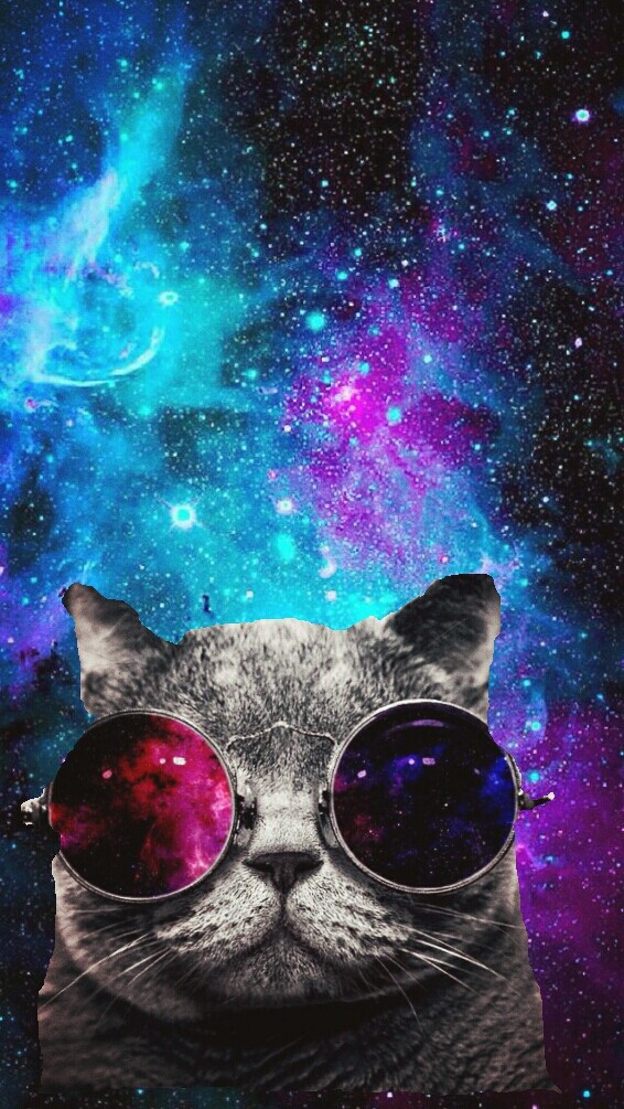 cat in space