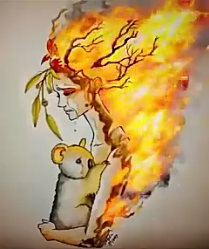 please save your forest and save your animals.