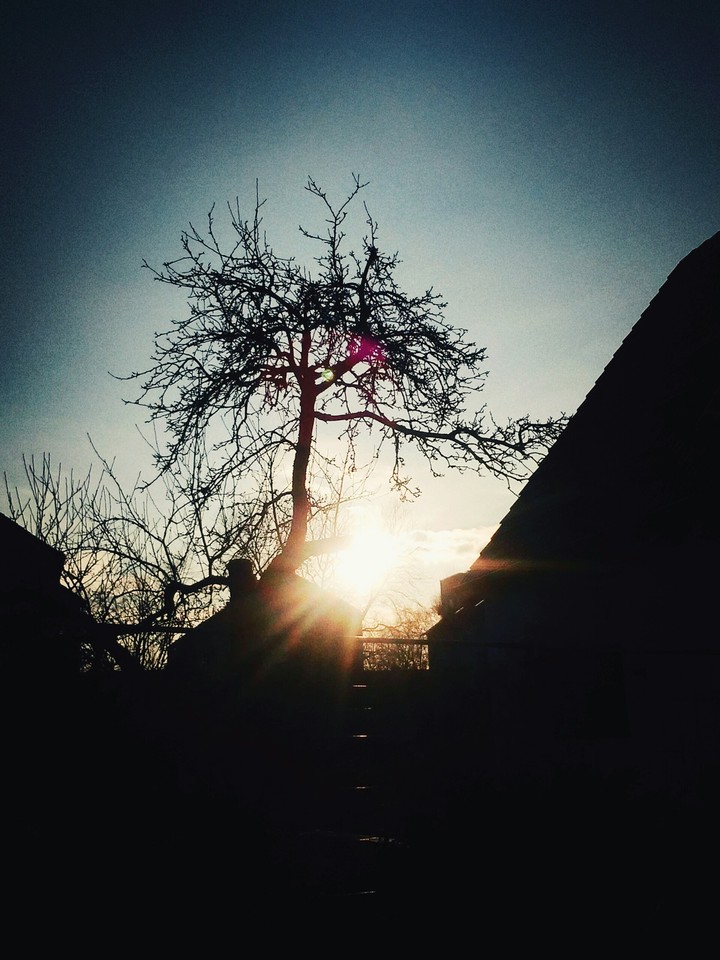 Abendsonne