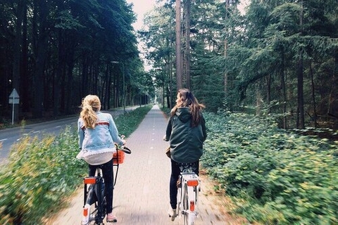 friends