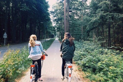 friends