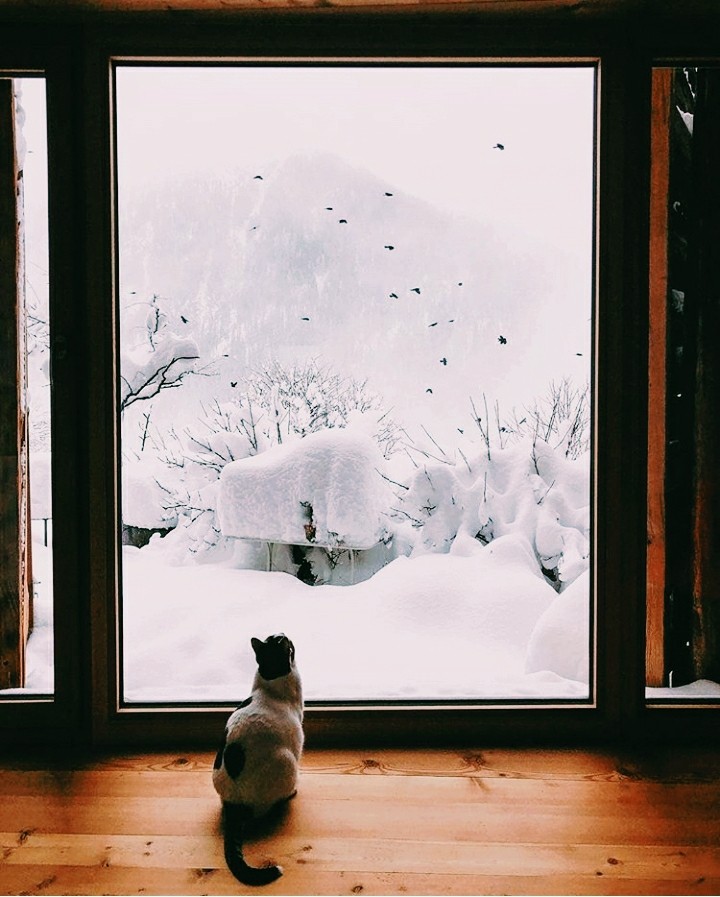 winter