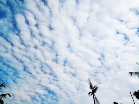 cloud