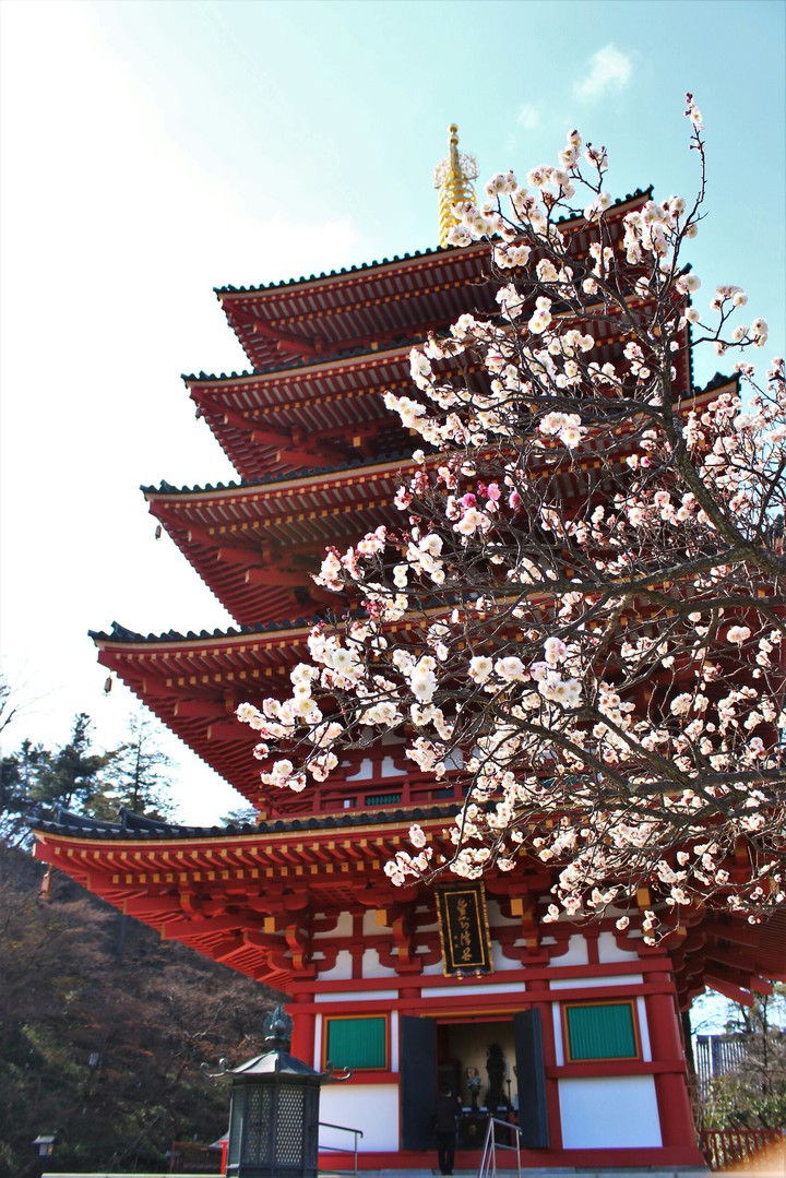japanese temple
